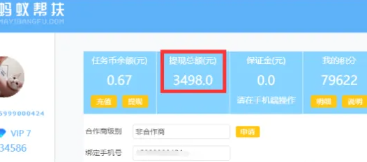 图片[2]-小白通过任务平台手机日撸200-300元-三疯小窝
