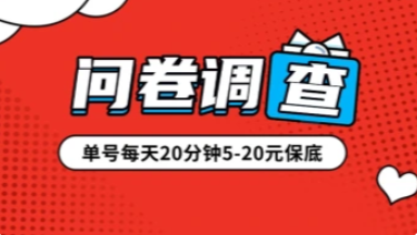 问卷调查项目 单人日产100+左右-三疯小窝